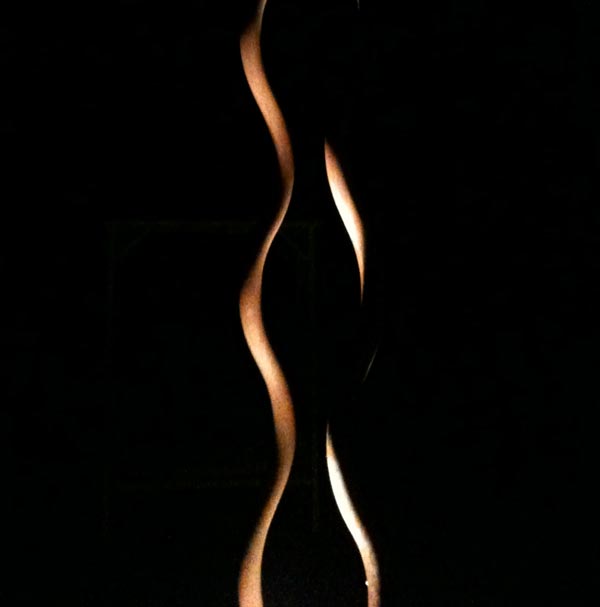 LADDER 1 (2010)